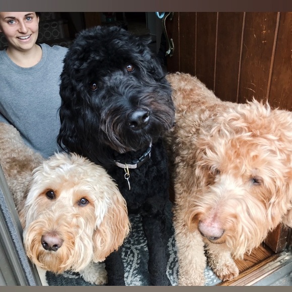 💜 - Picture 13 of 16